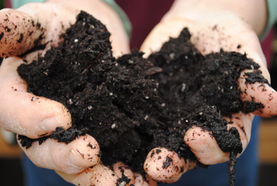 Analisi chimiche e microbiologiche del terreno analisi terreni agronomiche