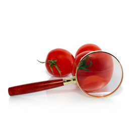 Conulenza ed analisi igiene alimentare HACCP