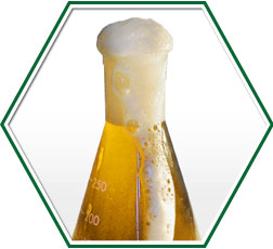 Analisi della birra