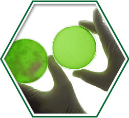 Analisi microbiologiche